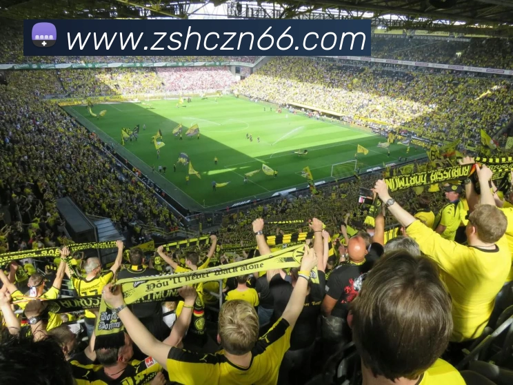 APP 体育赛事宣传图